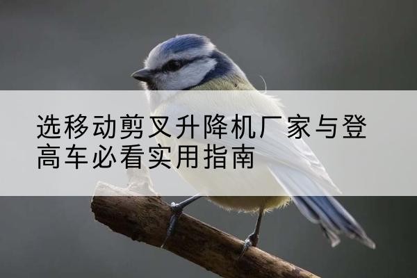 万宁电动升降机厂家-选移动剪叉升降机厂家与登高车必看实用指南