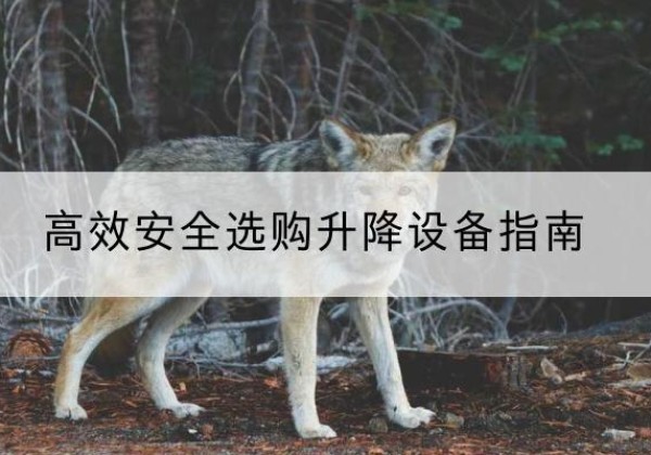 万宁升降货梯厂家推荐-*安全选购升降设备指南